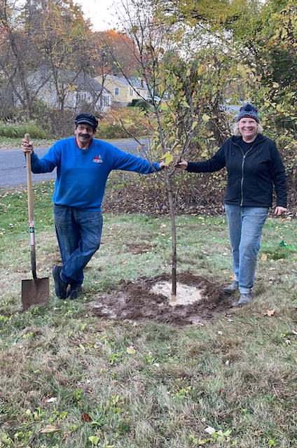 Hackberry tree just
planted by Laura Barry and Steve Trimboli