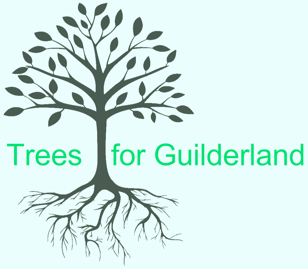 Trees for
            guilderland logo