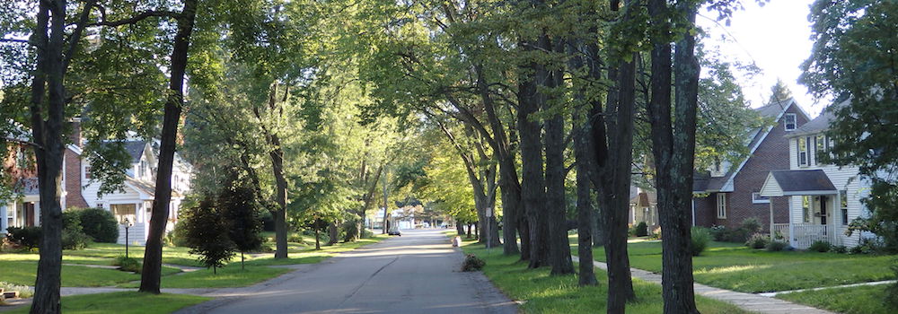 McKownville - Elmwood
Street