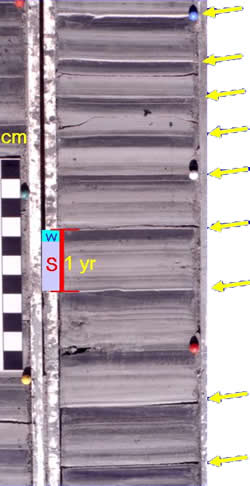 photo of
varved silt and clay layers showing annual alternation