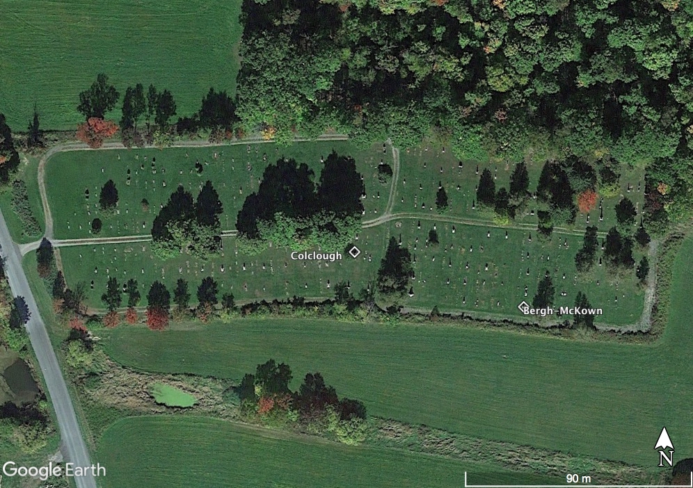 location of Catherine McKown
and children graves in Carlisle Rural Cemetery